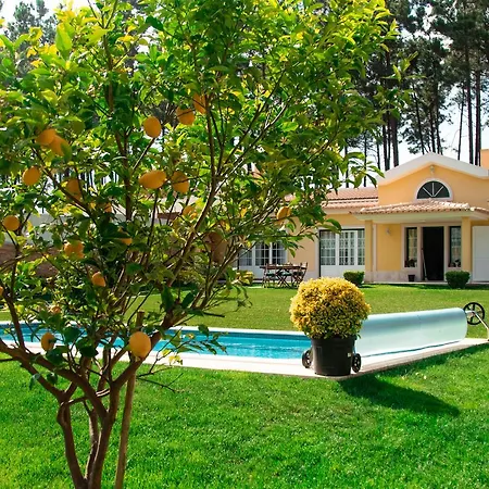 Verdizela Beach & Golf *